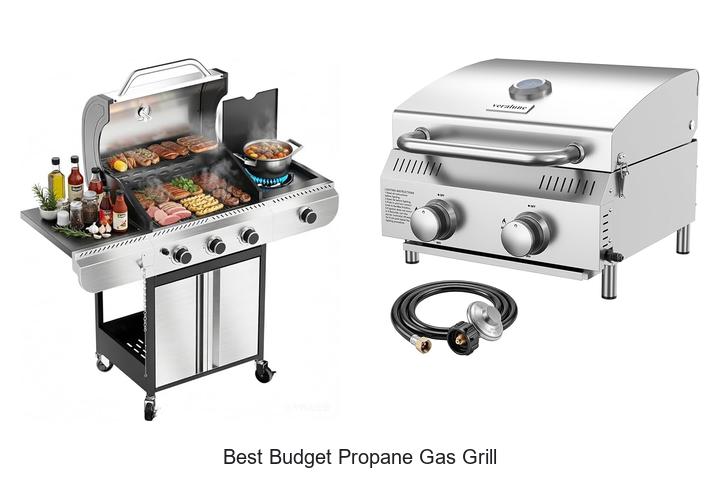 Best Budget Propane Gas Grill That Will Blow Your Mind