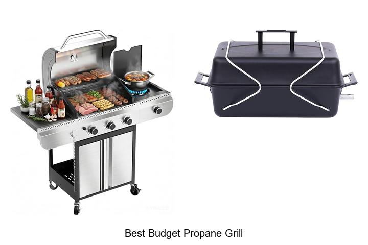 Best Budget Propane Grill That Will Change Your BBQ Game!