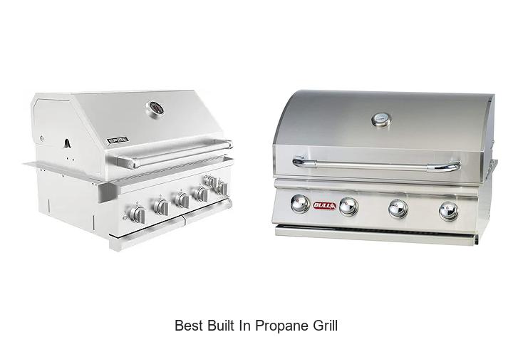 Best Built In Propane Grill That Will Blow Your Mind