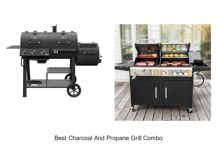 Best Charcoal And Propane Grill Combo You Can’t Miss!