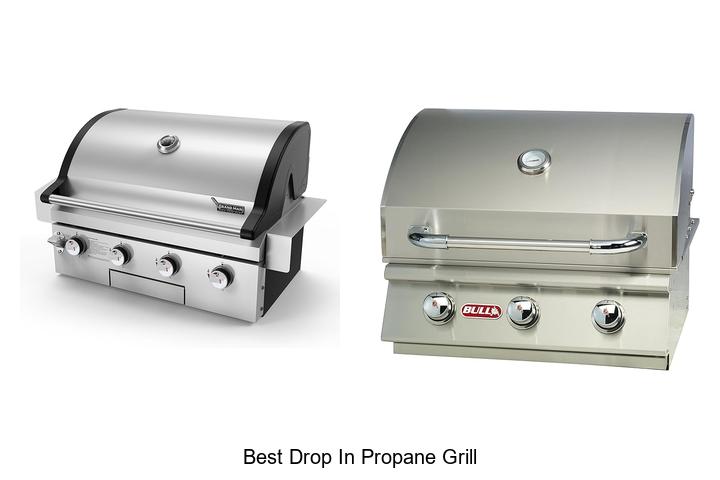 Best Drop In Propane Grill That Will Change Your BBQ Game