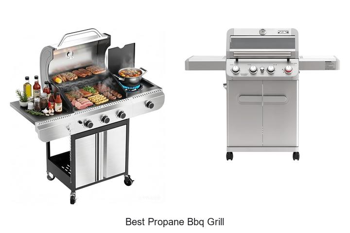 Best Propane BBQ Grill That Will Transform Your Cookouts