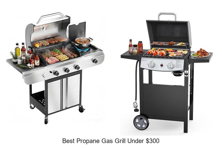 Best Propane Gas Grill Under $300 That Will Blow You Away!