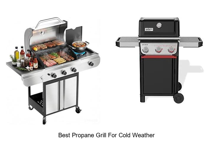 Best Propane Grill For Cold Weather: Stay Warm & Cook!