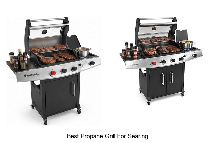 Best Propane Grill For Searing That Will Blow Your Mind!