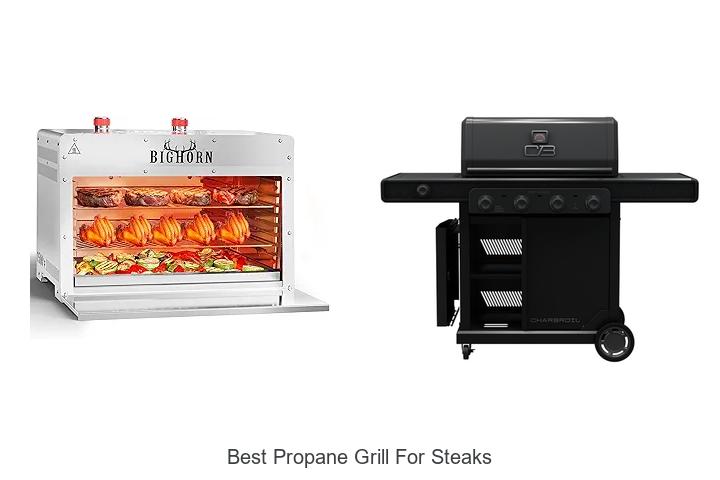 Best Propane Grill for Steaks That Will Blow Your Mind