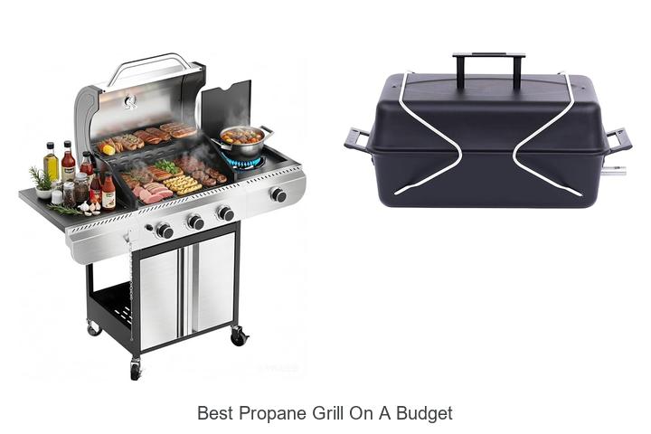 Best Propane Grill On A Budget You Can’t Miss Today