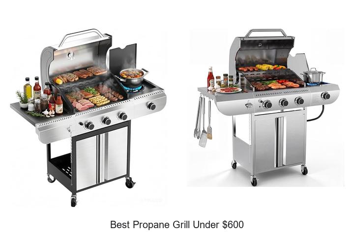 Best Propane Grill Under $600 That Will Blow Your Mind