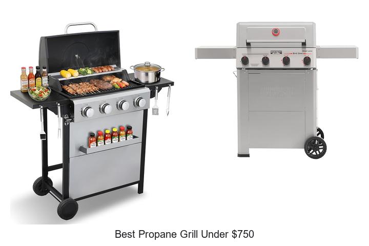 Best Propane Grill Under $750 That Will Blow Your Mind
