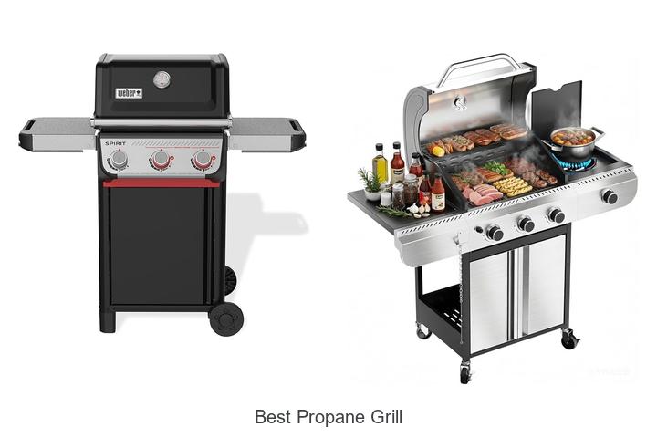 Best Propane Grill Secrets Grill Masters Don’t Want You!